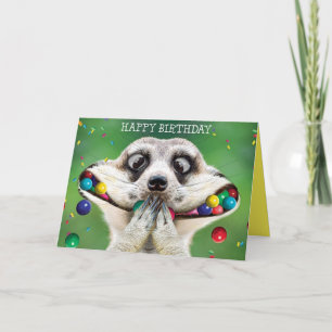 Carte d'anniversaire amusante - Meerkat