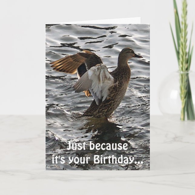Carte d'anniversaire amusante pour le canard Malla (Devant)