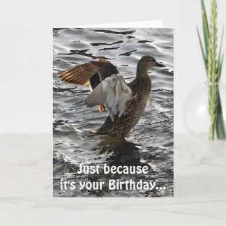 Carte d'anniversaire amusante pour le canard Malla