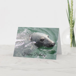 Carte d'anniversaire amusante pour le joyeux phoqu
