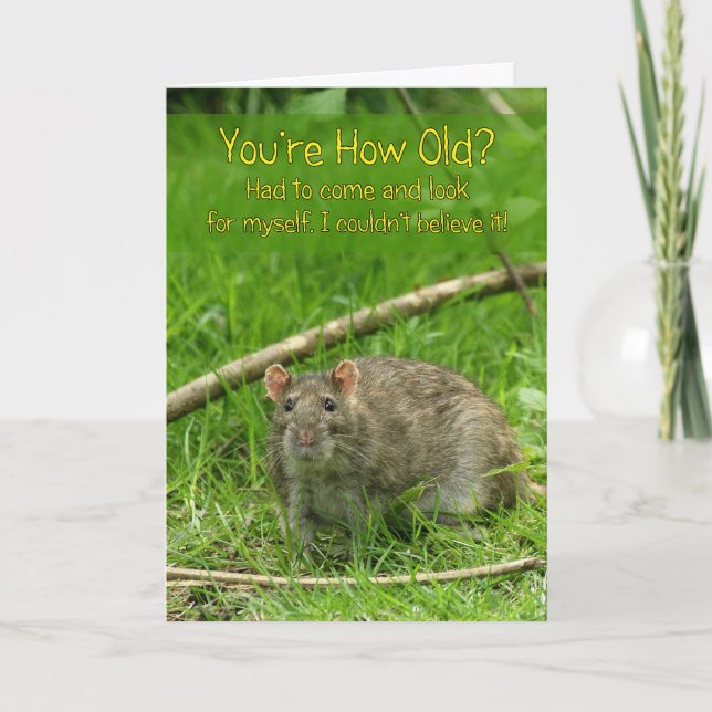 Carte d'anniversaire amusante - Rat Brown sauvage (Devant)