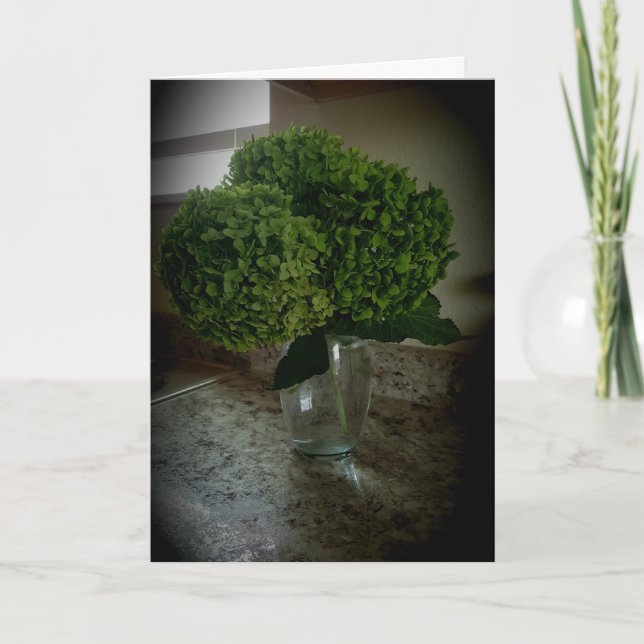 Carte d'anniversaire « Annabelle Hydrangea » (Devant)