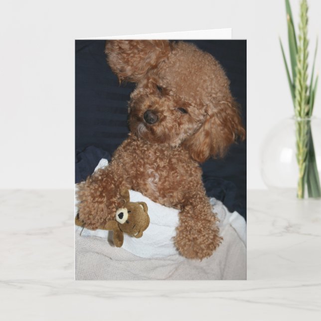 Carte d'anniversaire aux chiots (Devant)