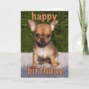 Carte d'anniversaire aux chiots