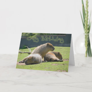Carte d'anniversaire avec Capybara