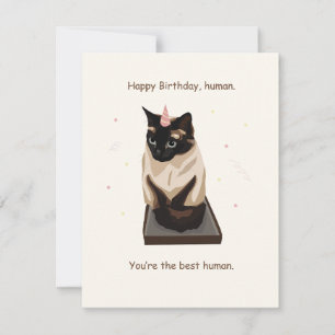 Carte d'anniversaire avec chat siamois