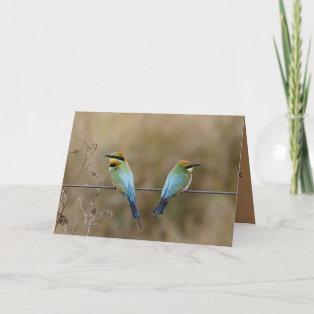 Carte d'anniversaire avec des mangeurs d'abeilles  (Devant)