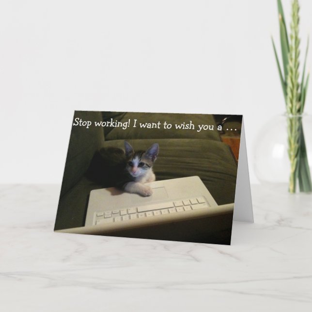 Carte d'anniversaire avec le chat : Cessez le (Devant)
