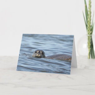 Carte d'anniversaire avec le petit phoque