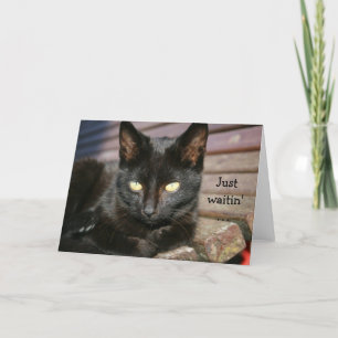 Carte d'anniversaire avec merveilleux chat noir