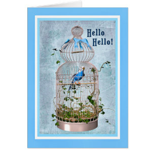 Carte d'anniversaire avec perroquet en jolie cage