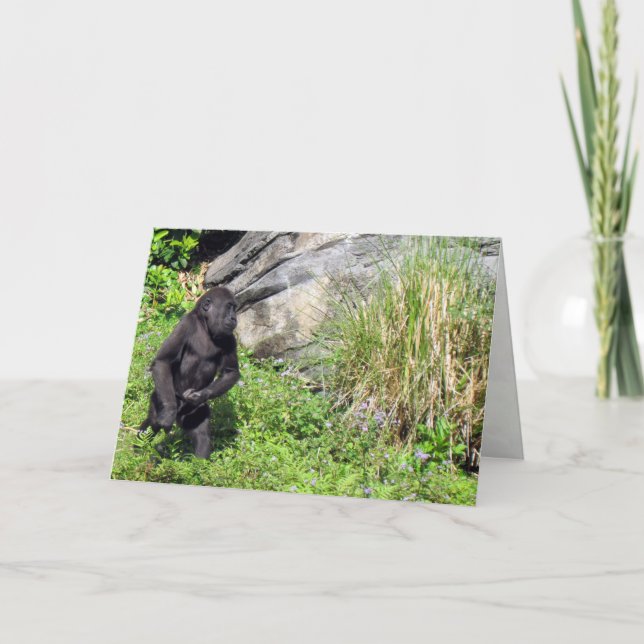Carte d'anniversaire Baby Gorilla (Devant)