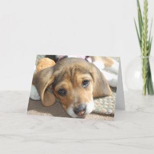 Carte d'Anniversaire Beagle