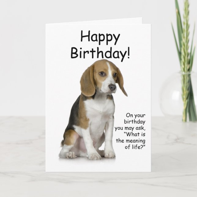 Carte d'anniversaire beagle (Devant)