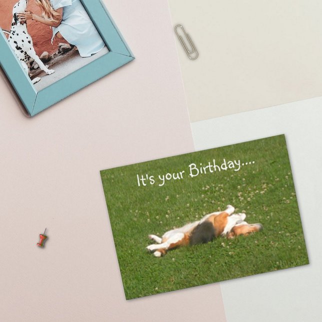 Carte d'anniversaire beagle (amusante) (Créateur téléchargé)