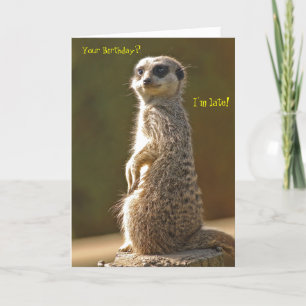 Carte d'anniversaire Belated Meerkat