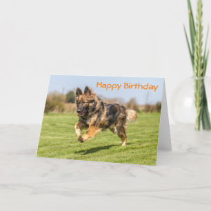 Carte d'anniversaire Berger allemand Chien