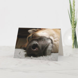 Carte d'anniversaire berger allemand dormant