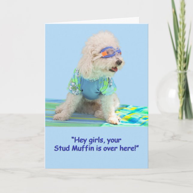 Carte d'anniversaire Bichon Frise (Devant)