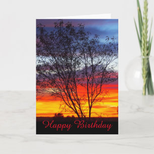 Carte d'anniversaire blanche pour le coucher de so