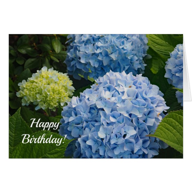 Carte d'anniversaire Blue Hydrangea 814 (Devant horizontal)