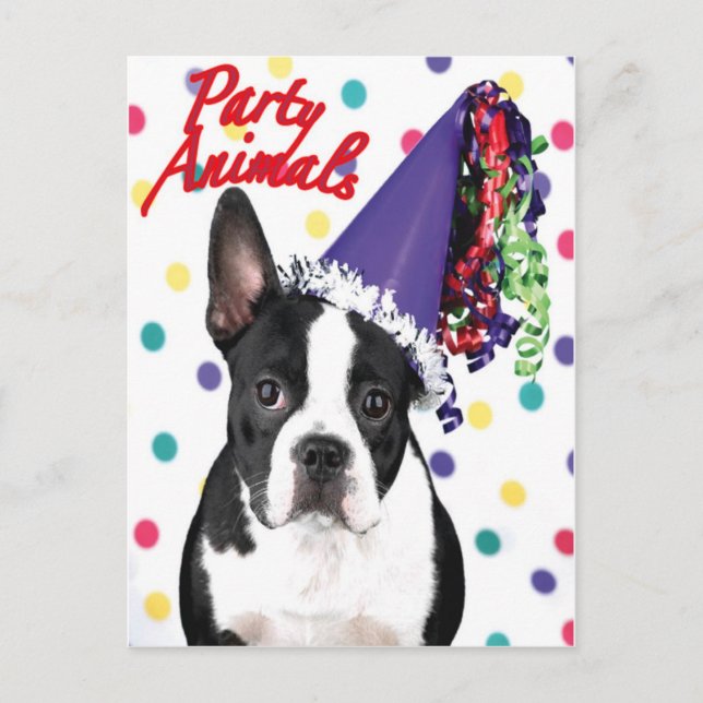 Carte d'anniversaire Boston Terrier (Devant)