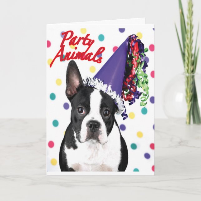 Carte d'anniversaire Boston Terrier (Devant)