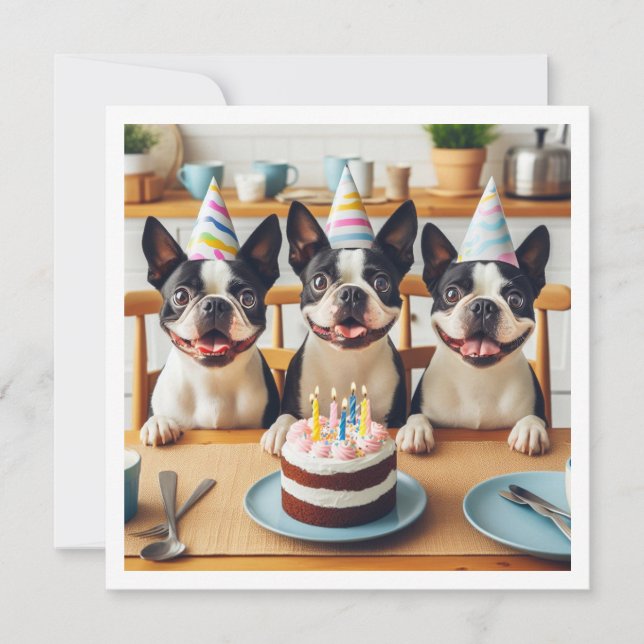 Carte d'anniversaire Boston Terrier, Boston terrie (Devant)