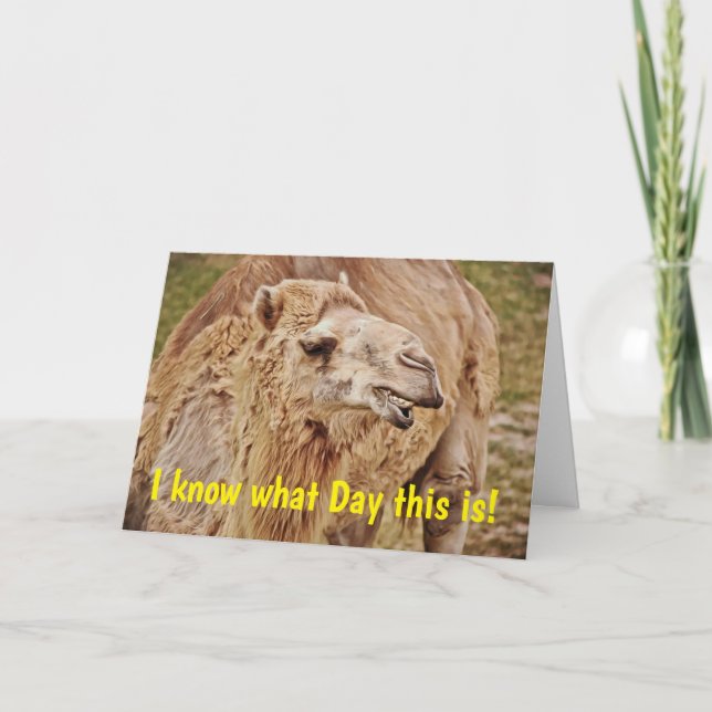 Carte d'anniversaire Camel Punny Humppy (Devant)