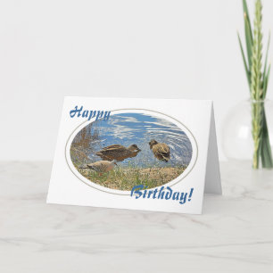 Carte d'anniversaire Canards et Pigeon