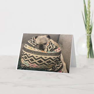 Carte d'anniversaire carlin - Happy Place