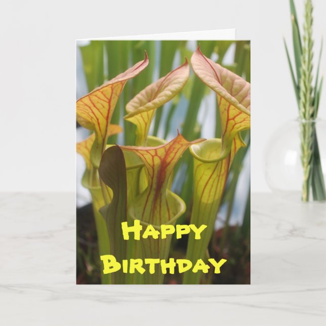 Carte d'anniversaire carnivore d'usine de broc (Devant)