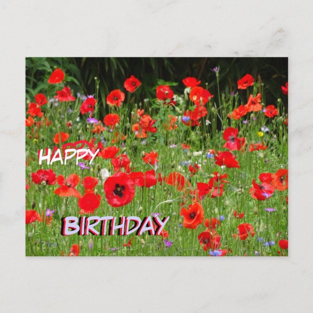 Carte d'anniversaire Champ de Coquelicots Rouges (Devant)