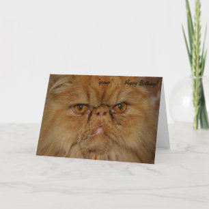 Carte d'anniversaire : Chat Grumpiest vivant