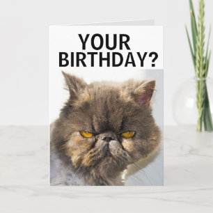 CARTE D'ANNIVERSAIRE CHAT PERSIEN