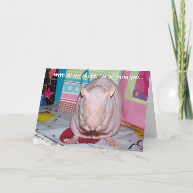 Carte d'anniversaire chauve de rat d'animal (Devant)