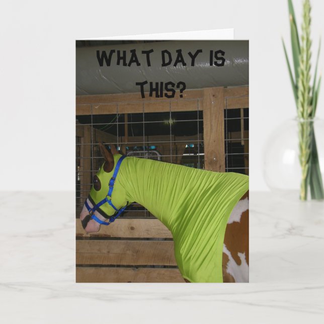 CARTE D'ANNIVERSAIRE CHEVAL CONFONDU (Devant)