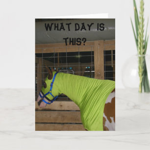 CARTE D'ANNIVERSAIRE CHEVAL CONFONDU