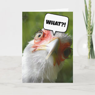 CARTE D'ANNIVERSAIRE CHICKEN FUNNY