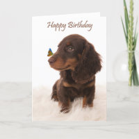 Carte d'anniversaire chien avec papillon sur le ne