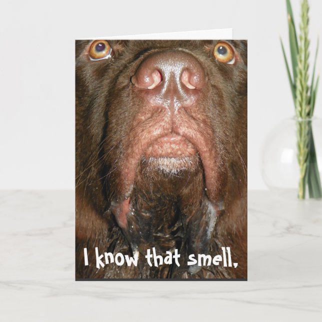 Carte d'anniversaire ~ Chien de Terre-Neuve (Devant)