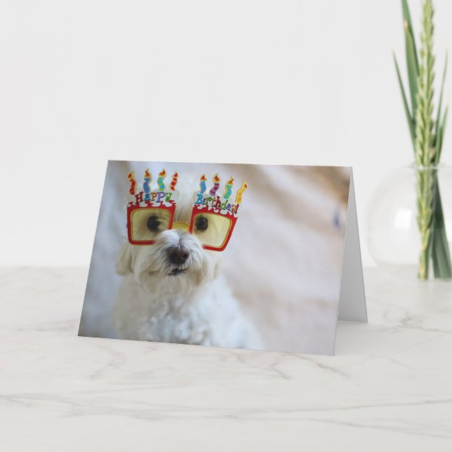 Carte d'anniversaire - Chien drôle portant des lun (Devant)