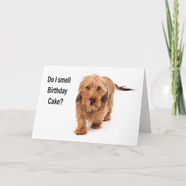 carte d'anniversaire chien teckel reniflant gâteau (Devant)