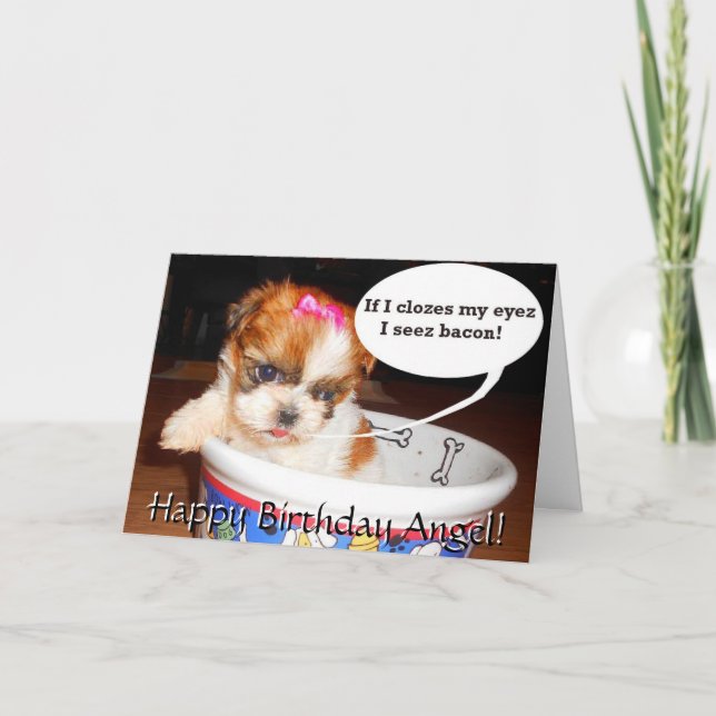 Carte d'anniversaire Chih Tzu Puppy (Devant)