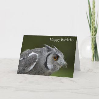 Carte d'anniversaire - Chouette gris bébé