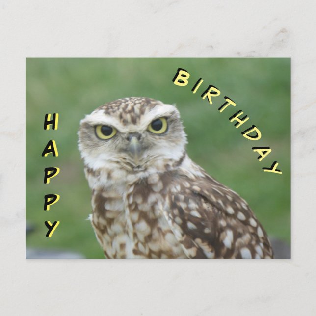 Carte d'anniversaire Chouette mignonne (Devant)