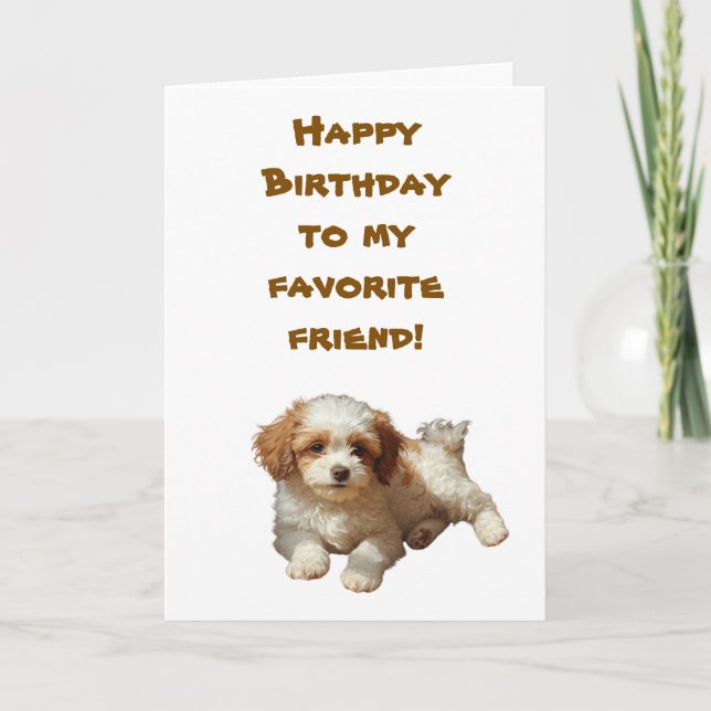 Carte d'anniversaire Cockapoo - Meilleures salutat (Devant)