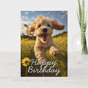 Carte d'anniversaire Cockapoo personnalisée