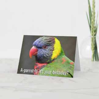 Carte d'anniversaire colorée de Lorikeet
