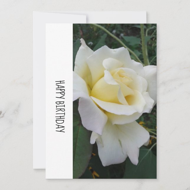 Carte d'anniversaire Crème Rose blanche (Devant)